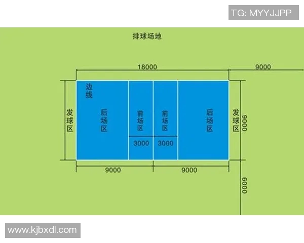 深圳排球队比赛经验深度对比分析及其对未来发展的影响探讨